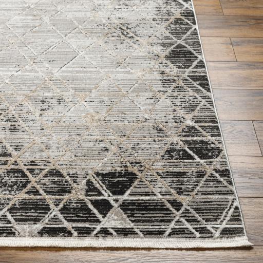 Surya Obsession OBN-2301 Black Brown 5'3" x 7' Rug