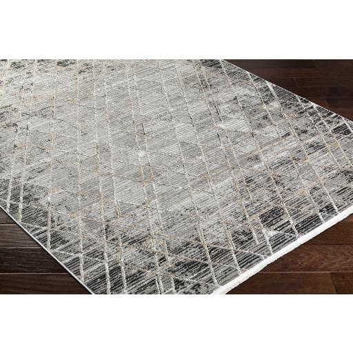 Surya Obsession OBN-2301 Black Brown 5'3" x 7' Rug