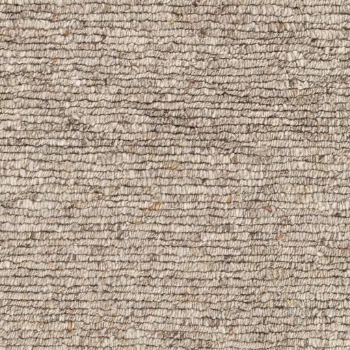 Surya Odessa ODS-2302 Beige Brown 10' x 14' Rug