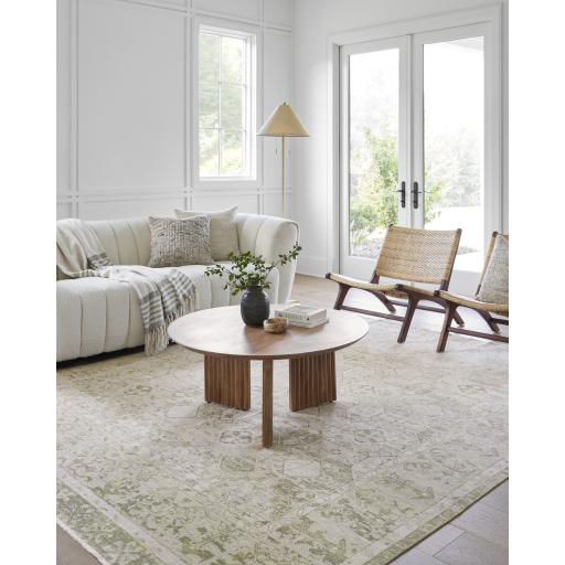 Surya Once Upon a Time OAT-2302 Light Gray Light Olive 2'11" x 9'10" Rug