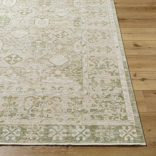 Surya Once Upon a Time OAT-2302 Light Gray Light Olive 2'11" x 9'10" Rug