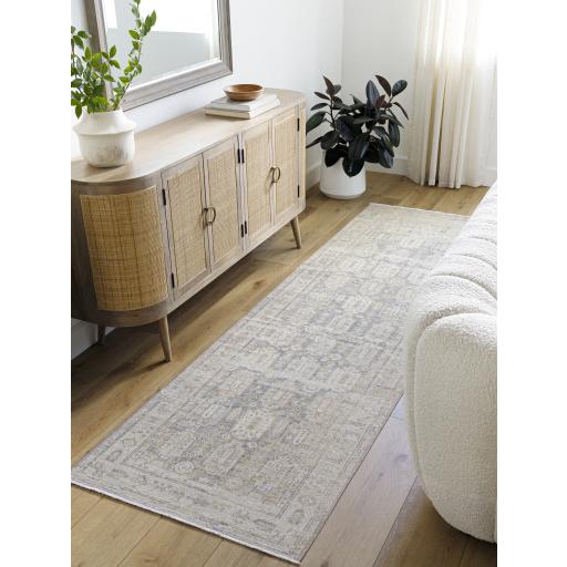 Surya Once Upon a Time OAT-2303 Gray Ivory 2'11" x 9'10" Rug