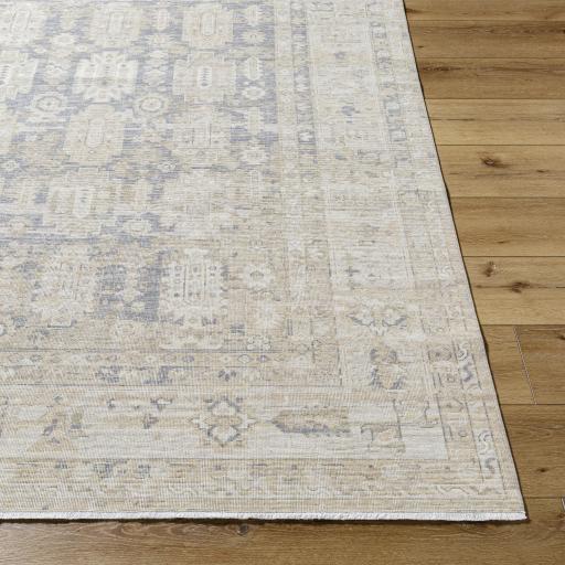 Surya Once Upon a Time OAT-2303 Gray Ivory 2'11" x 9'10" Rug