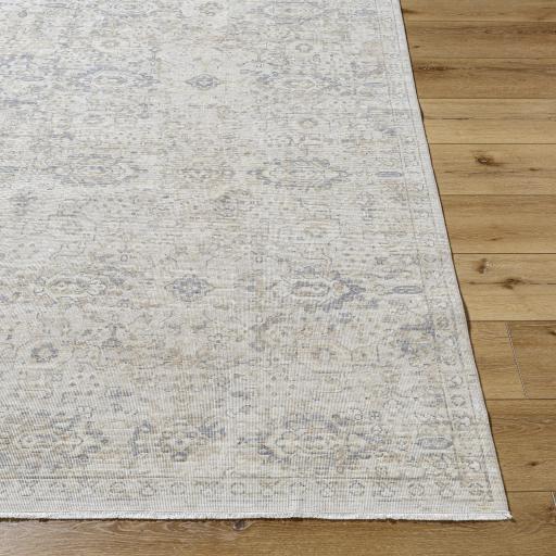 Surya Once Upon a Time OAT-2304 Gray Ivory 2'11" x 9'10" Rug