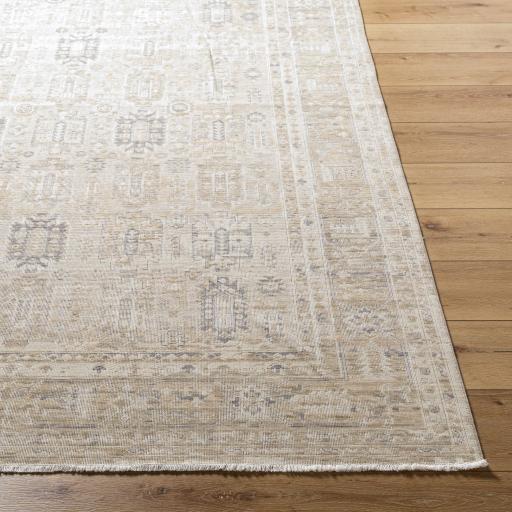 Surya Once Upon a Time OAT-2307 Gray Ivory 8'10" x 11'10" Rug