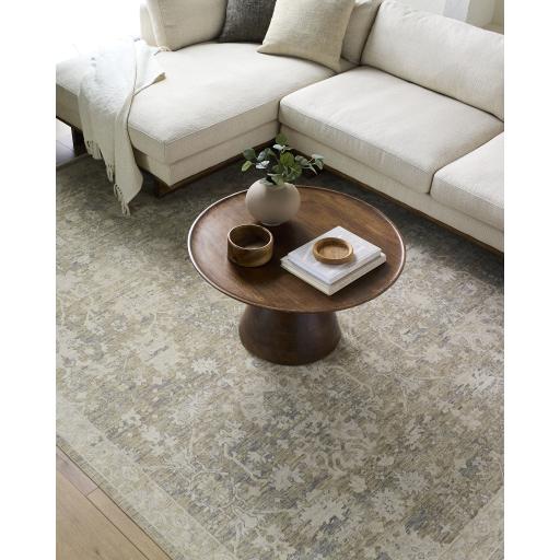 Surya Once Upon a Time OAT-2308 Gray Ivory 2'11" x 9'10" Rug