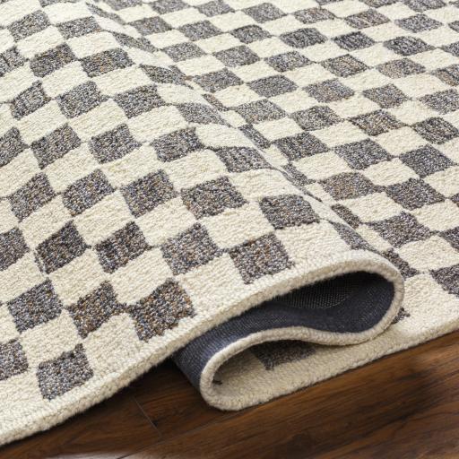 Surya Ottawa OTW-2301 Beige Charcoal 2' x 3' Rug