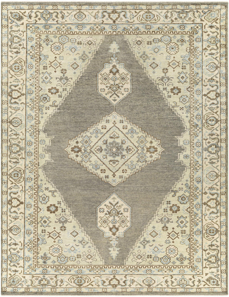 Surya Palais PAL-2304 Charcoal Dark Brown 10' x 14' Rug