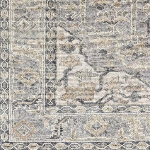 Surya Palais PAL-2306 Beige Charcoal 10' x 14' Rug