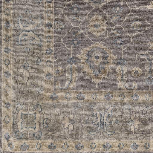 Surya Palais PAL-2307 Gray Ivory 2' x 3' Rug