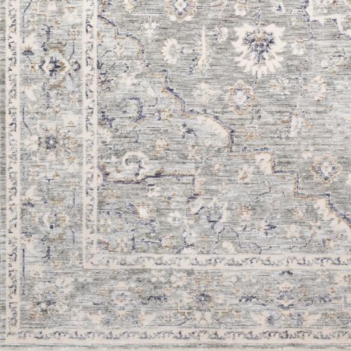 Surya Palazzo PZL-2300 Blush Brown 2' x 3'3" Rug