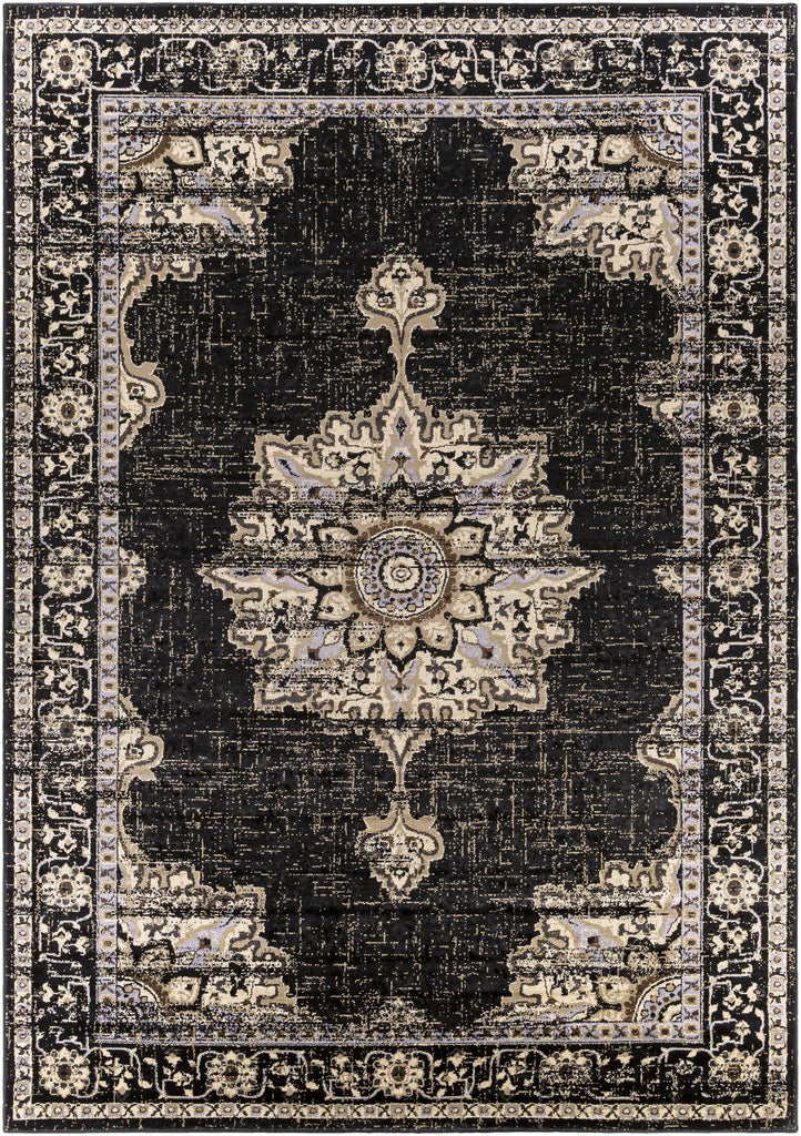 Surya Paramount PAR-1089 Black Charcoal 1'10" x 2'11" Rug