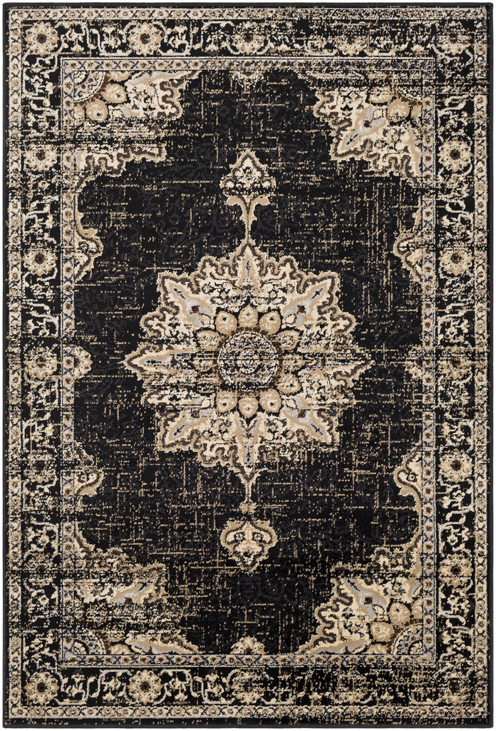 Surya Paramount PAR-1089 1'10" x 2'11" Rug