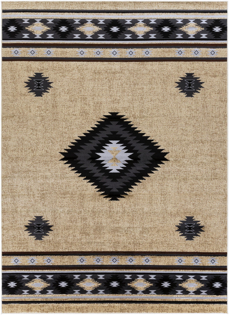 Surya Paramount PAR-1096 Black Charcoal 1'10" x 2'11" Rug