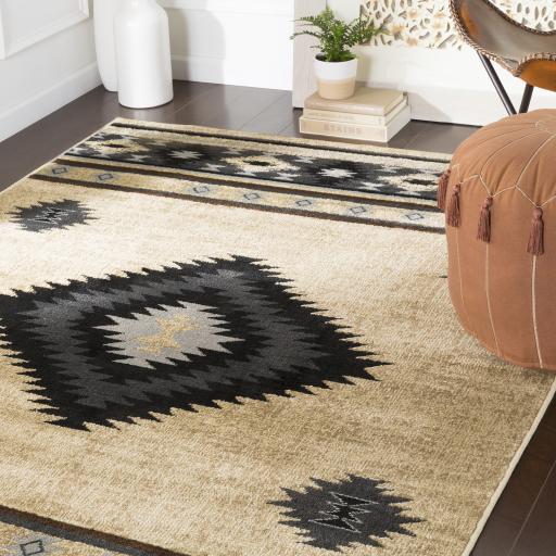 Surya Paramount PAR-1096 Black Charcoal 1'10" x 2'11" Rug