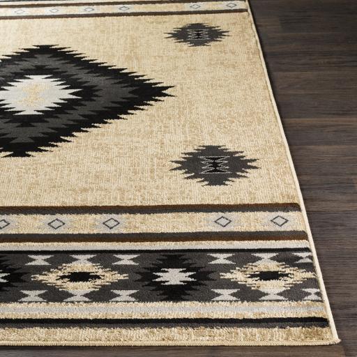 Surya Paramount PAR-1096 Black Charcoal 1'10" x 2'11" Rug