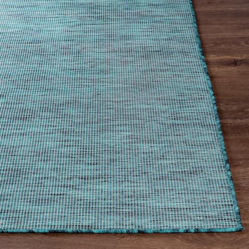 Surya Pasadena PSA-2312 Aqua Black 7'8" x 10' Rug