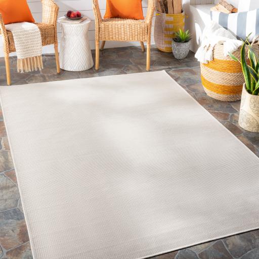 Surya Pasadena PSA-2316 Cream 2'6" x 7'3" Rug