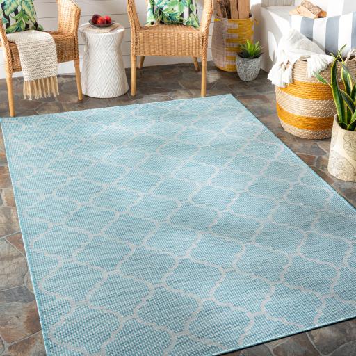 Surya Pasadena PSA-2341 Aqua 2'6" x 4' Rug