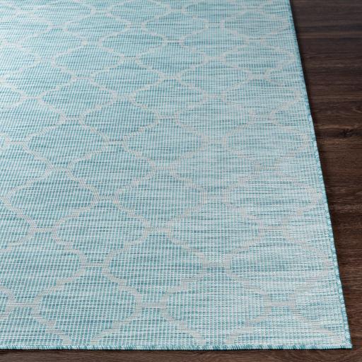 Surya Pasadena PSA-2341 Aqua 2'6" x 4' Rug