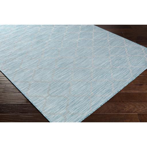 Surya Pasadena PSA-2341 Aqua 2'6" x 4' Rug