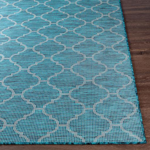 Surya Pasadena PSA-2342 Aqua Black 2'6" x 7'3" Rug