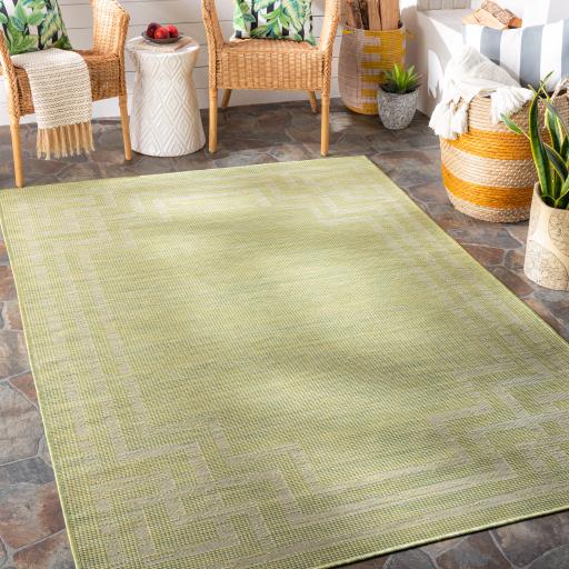 Surya Pasadena PSA-2348 Sage 2'6" x 4' Rug