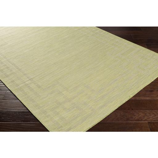 Surya Pasadena PSA-2348 Sage 2'6" x 4' Rug