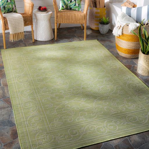 Surya Pasadena PSA-2355 Sage 2'6" x 4' Rug