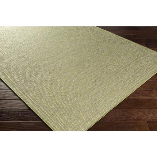 Surya Pasadena PSA-2355 Sage 2'6" x 4' Rug