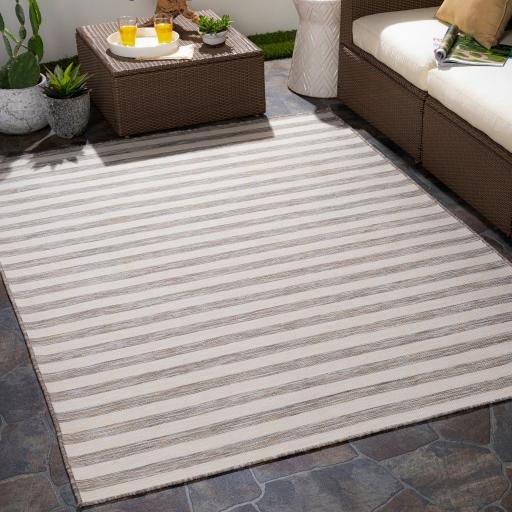 Surya Pasadena PSA-2381 Brown Cream 5'3" x 7'3" Rug