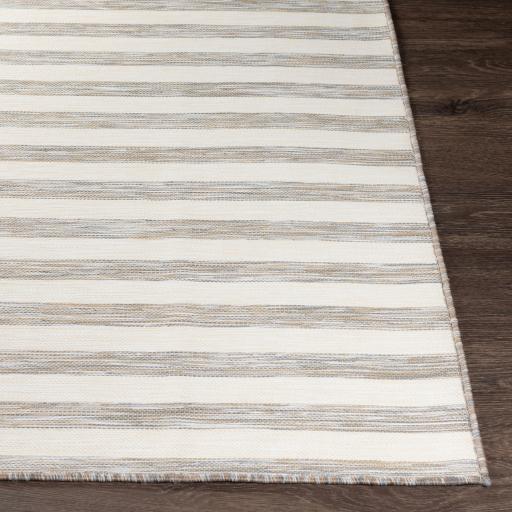 Surya Pasadena PSA-2381 Brown Cream 5'3" x 7'3" Rug