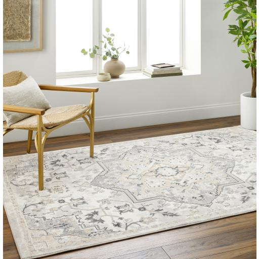 Surya Perception PCP-2317 Beige Charcoal 5'3" x 7' Rug