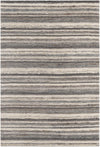 Surya Petra Ptr-2300 2' X 3' Rug