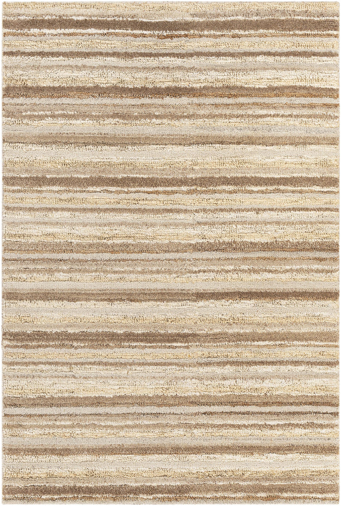 Surya Petra PTR-2301 Cream Dark Brown 2' x 3' Rug