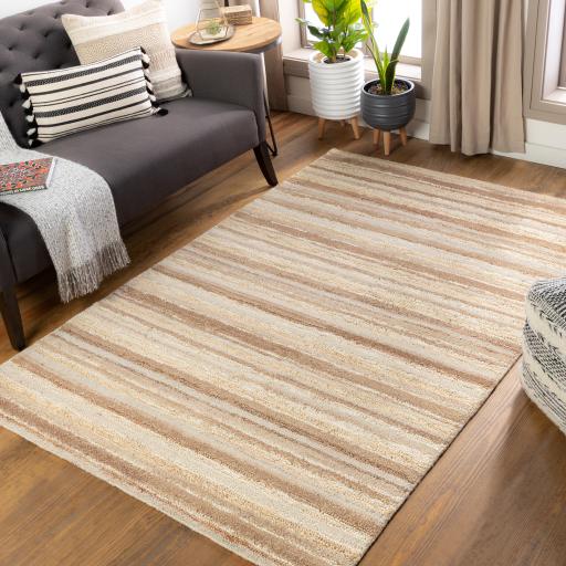 Surya Petra PTR-2301 Cream Dark Brown 2' x 3' Rug