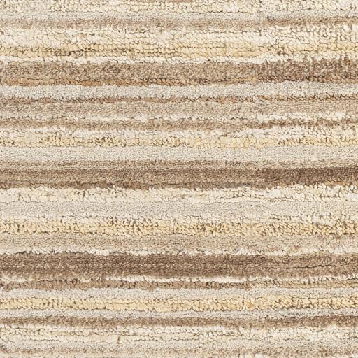 Surya Petra PTR-2301 Cream Dark Brown 2' x 3' Rug