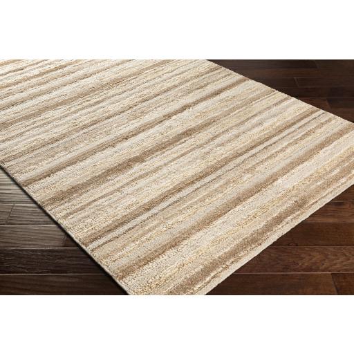 Surya Petra PTR-2301 Cream Dark Brown 2' x 3' Rug