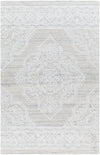 Surya Piazza Pzz-2300 2' X 3' Rug