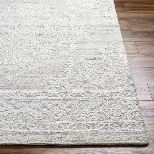 Surya Piazza PZZ-2300 Light Gray White 2' x 3' Rug