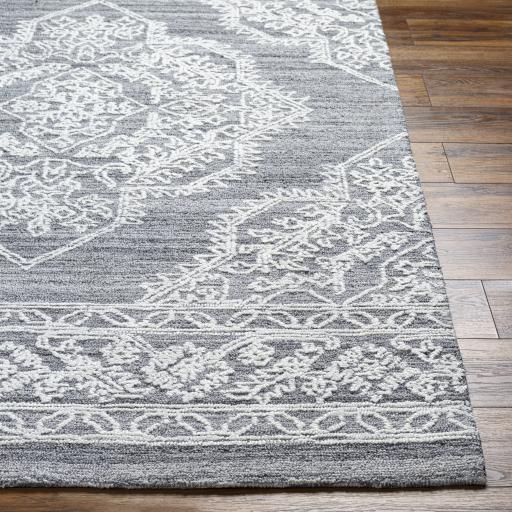 Surya Piazza PZZ-2301 Gray White 2' x 3' Rug