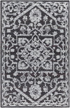 Surya Piazza Pzz-2302 2' X 3' Rug