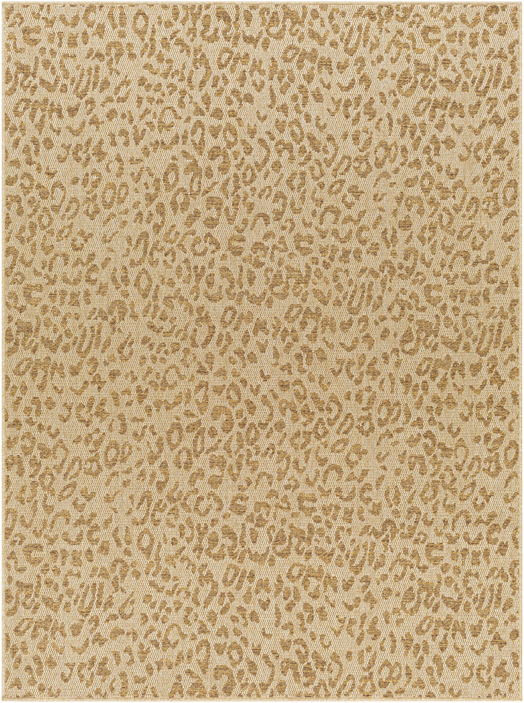 Surya Pismo Beach PMB-2300 2' x 3' Rug