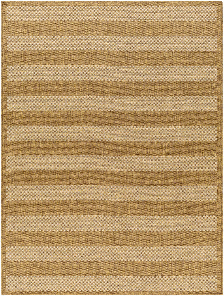 Surya Pismo Beach PMB-2302 2' x 3' Rug