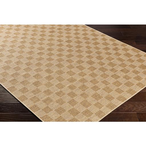 Surya Pismo Beach PMB-2310 Amber Tan 2' x 2'11" Rug