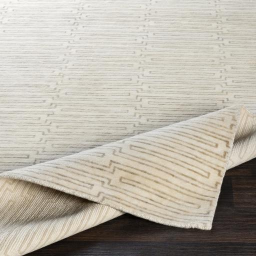 Surya Platinum PLAT-9029 Beige Cream 2' x 3' Rug