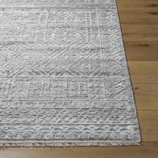 Surya Pompei PPI-2304 Beige Black 10' x 14' Rug