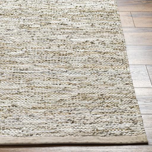 Surya Porter POE-2302 Light Brown Tan 2' x 3' Rug