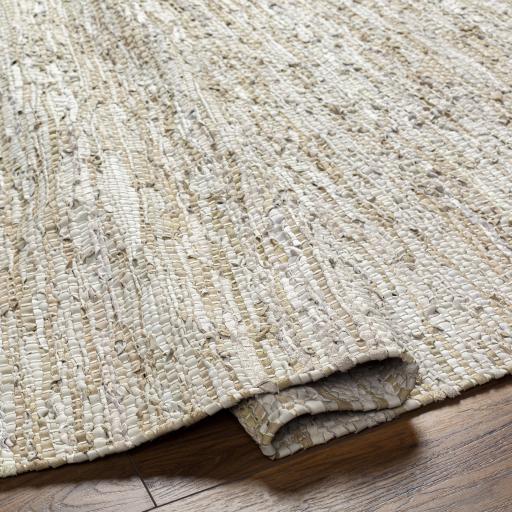 Surya Porter POE-2302 Light Brown Tan 2' x 3' Rug