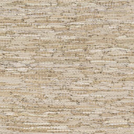 Surya Porter POE-2302 Light Brown Tan 2' x 3' Rug